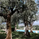 Residenze Il Convento Serra Alta 아파트 폴리뇨
