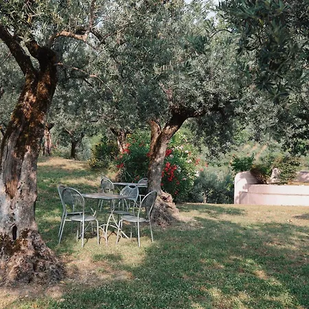 Residenze Il Convento Serra Alta Appartamento *