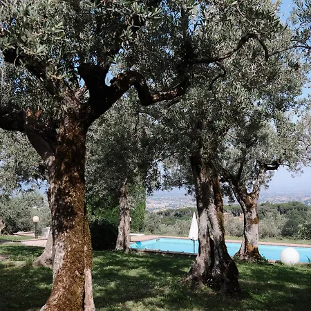 Residenze Il Convento Serra Alta 公寓 福利尼奥
